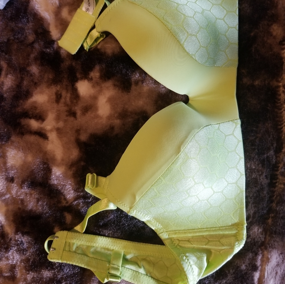 38B bra